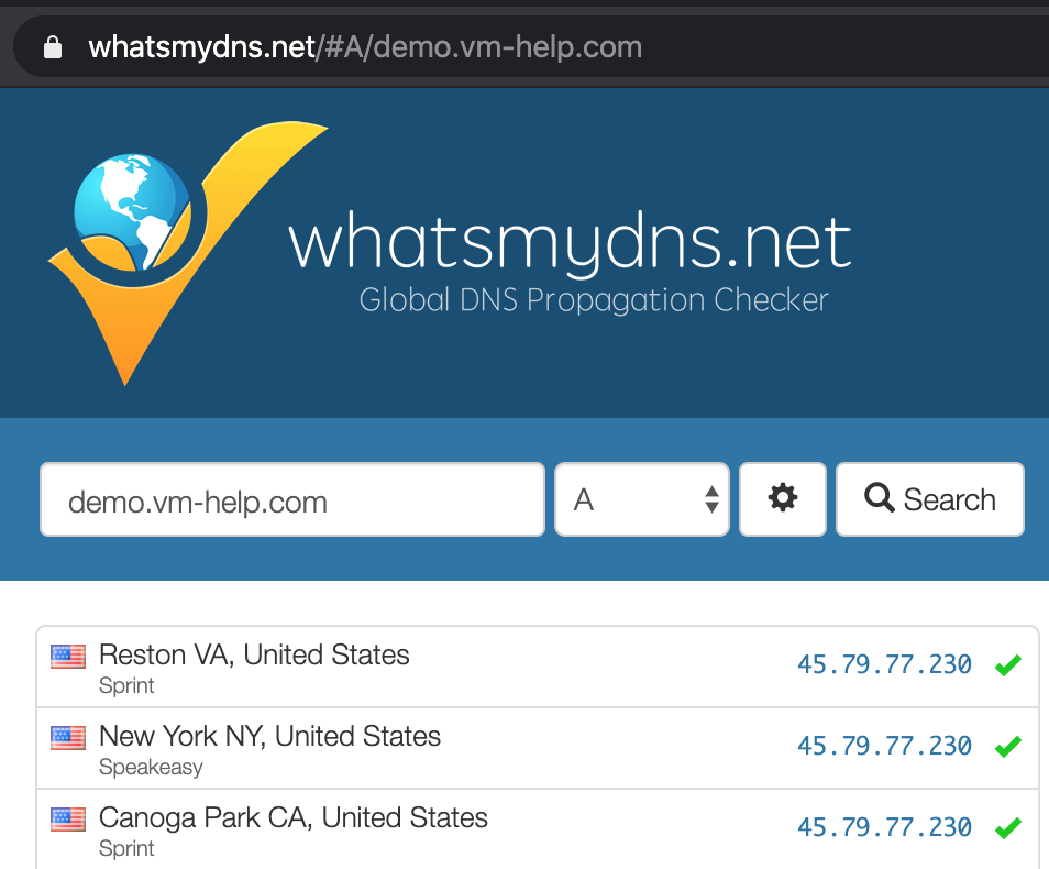 Checking DNS Record Propagation