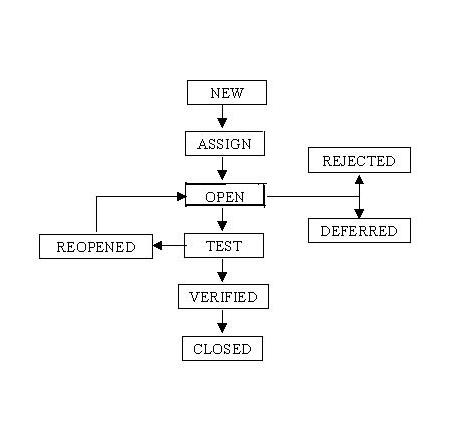 Bugs Fixing Process